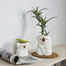 A ceramic figurine of a koala bear with a small air plant on top, placed on a wooden surface next to a magazine.