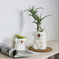 A ceramic figurine of a koala bear with a small air plant on top, placed on a wooden surface next to a magazine.