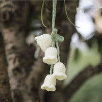 Crochet Hanging Plant (Variety)