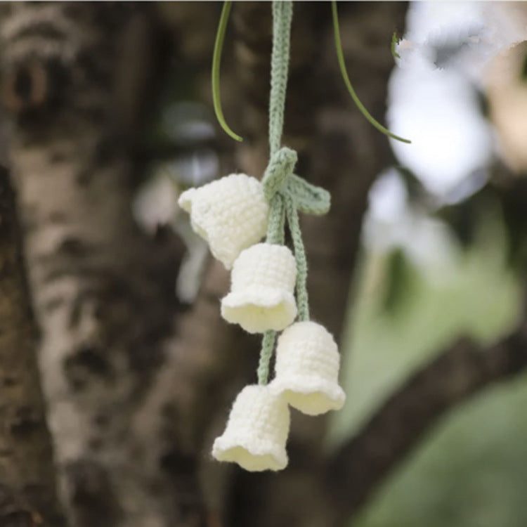 Crochet Hanging Plant (Variety)