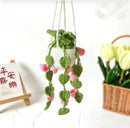 Crochet Hanging Plant (Variety)
