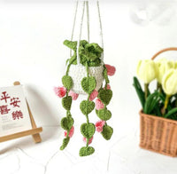 Crochet Hanging Plant (Variety)