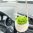 Crochet Hanging Plant (Variety)