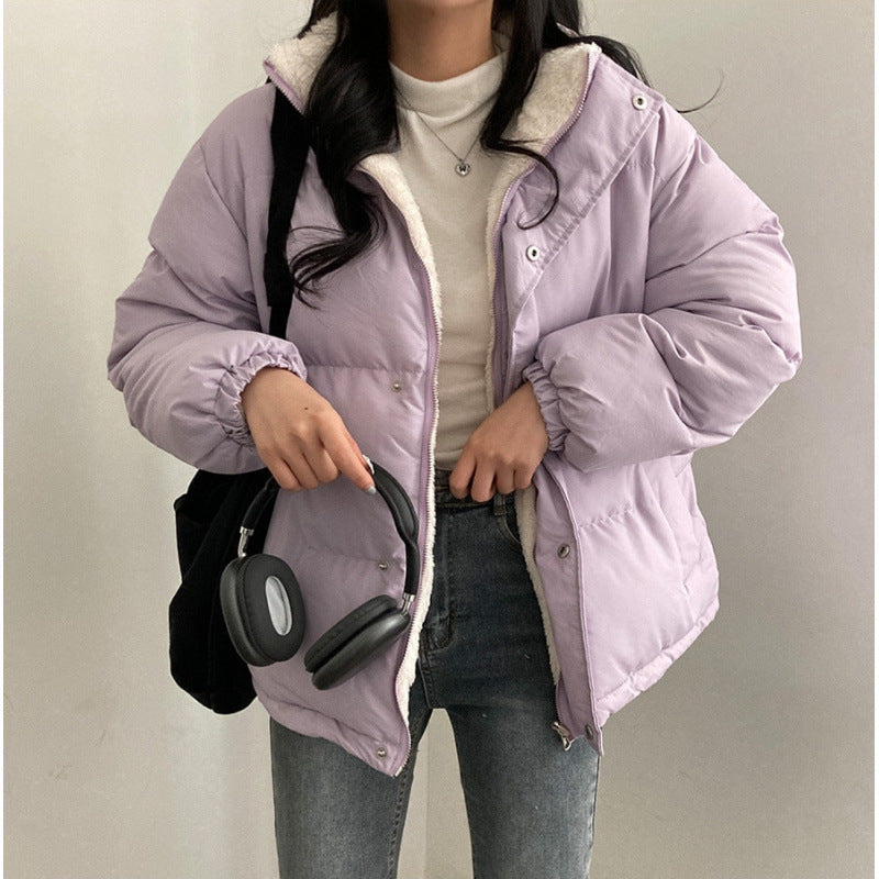Violet / Free Size