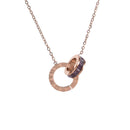 Roman Numeral Ring Titanium Necklace