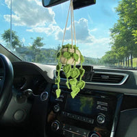 Crochet Hanging Plant (Variety)